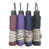 西湖碰击布伞 颜色随机