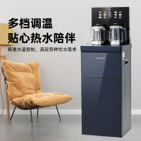 荣事达(Royalstar)家用智能茶吧机超薄花架触屏防溢水CY756灰色