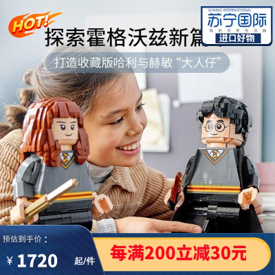 乐高(LEGO)积木 哈利·波特 HP系列 10岁+男孩女孩玩具节日电影周边 76393 76393 哈利·波特与赫