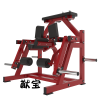 腿部曲伸训练机YB-TM66