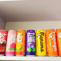 红牌木瓜牛奶饮料490ml