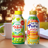 三佳丽椰子凤梨汁饮料380g