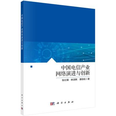 中国电信产业网络演进与创新/张红娟,林润辉,谭劲松R