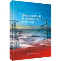 弹性电力系统及其恢复策略研究的理论与实践R