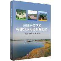 三峡水库下游弯曲分汊河道演变规律R