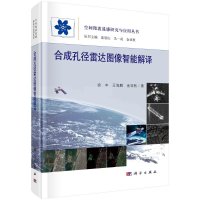 合成孔径雷达图像智能解译R