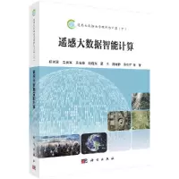 遥感大数据智能计算/骆剑承R