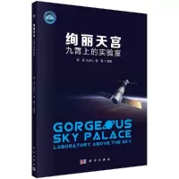 绚丽天宫:九霄上的实验室R