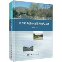 沥青路面养护决策理论与方法R