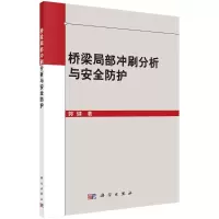 桥梁局部冲刷分析与安全防护R