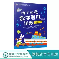 正版 幼小衔接数学思维训练 飞跃篇 下 3-6岁幼儿启蒙早教思维训练绘本 幼儿学前班入学数学思维训练游戏书 幼小衔接整合