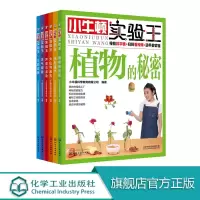 小牛顿实验王 6册 6-10-14 植物 光与镜子 火山与岩石 声音 天气 力 实验启蒙 小升初 STEM教育 趣味实验