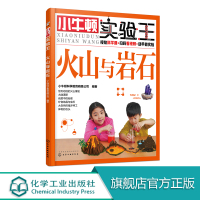 小牛顿实验王 火山与岩石 小学生课外读物 少儿科普 6-10-14岁 实验启蒙 小升初 STEM教育 趣味实验 科普启
