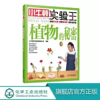 小牛顿实验王 植物的秘密 小学生课外读物 少儿科普 6-10-14岁 实验启蒙 小升初 STEM教育 趣味实验 科普启