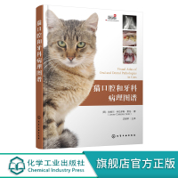 猫口腔和牙科病理图谱 猫牙科病理图谱治疗手册 犬猫组织学牙齿结构 犬猫齿系图谱 小动物牙周探查图例 宠物医生兽医入门参考