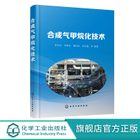 合成气甲烷化技术 成气甲烷化反应热力学和动力学 合成气甲烷化技术背景 煤化工甲烷化关键技术 合成气甲烷化催化剂关键技术应