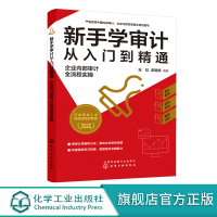 正版 新手学审计从入门到精通 企业内部审计全流程实操 审计新手流程实操指导审计实务入门书籍审计准则内审人员内部审计工作宝