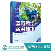 蓝莓栽培实用技术 杨芩 蓝莓栽培技术蓝莓有机质栽培 蓝莓绿色有机无公害培育蓝莓病虫害防治 果农技术人员农业院校师生阅读参