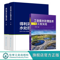 工业废水处理技术与工程实践 得利满水处理手册 上下册 3册 水质分析 水处理基本数据 预处理 生物处理 消毒 污泥处理