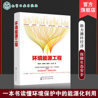 正版 环境能源工程 廖传华 环境保护能源化利用技术 有机废弃物能源化利用 能源清洁利用工具书 高等学校新能源化工环境科学