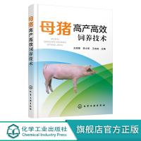 母猪高产高效饲养技术 母猪高产养殖技术母猪饲养管理产后护理母猪疾病诊治预防母猪场建设 养猪专业户猪场管理人员兽医人员参考