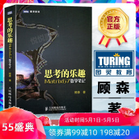 思考的乐趣 Matrix67数学笔记 顾森 著 数学课外教辅书籍 科普读物 数学思维训练书籍 数学教程 人民邮电