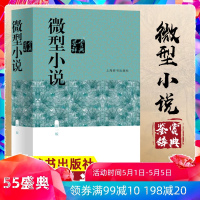 [正版]微型小说鉴赏辞典 新一版 江曾培等著 中外微型小说鉴赏辞典赏析工具图书籍 初中高中大学学生语文文艺用书 上海
