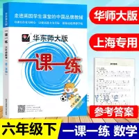2021新版华东师大版一课一练数学六年级下册6年级第二学期华师大一课一练六年级数学下册同步训练课后练习 配套上海初中沪教
