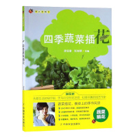 正版 四季蔬菜插花 厨花君园艺以四季应季蔬菜为原料食用前先插成 菜花 装点餐桌风景营造 随性精致 的生活之美家庭园艺生活