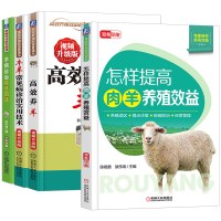 4册养羊技术书籍大全科学养殖入门技术羊病诊断与防治羊病治疗全书提高肉羊养殖效益高效养羊技术羊疾病治疗知识教程养殖技术大全