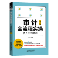 正版 审计全流程实操从入门到精通(第2版) 中小企业内部高级审计理论与实务 内部审计实务统计学概论基础 商务与经济责任R