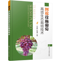正版 图说设施葡萄高效生态栽培技术 葡萄高效栽培技术葡萄绿色生产新技术设施栽培育苗病害虫防治生态施肥灌溉 葡萄高效栽培书
