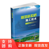 矮塔斜拉桥施工技术$