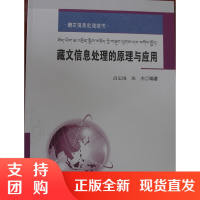藏文信息处理的原理与应用/藏文信息处理技术丛书/“十二五”国家重点图书·国家出版基金项目$