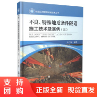 不良、特殊地质条件隧道施工技术及实例（三） 隧道工程修建关键技术丛书 9787114130069 肖广智著$