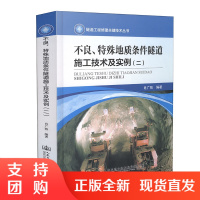 不良特殊地质条件隧道施工技术及实例二隧道工程修建关键技术丛书$