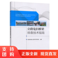 公路危旧桥梁排查技术指南$