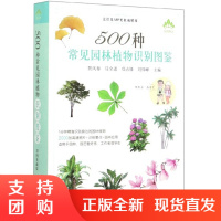 正版 500种常见园林植物识别图鉴 彩图典藏版 公园园艺园林花草树木植物野花野外识别鉴赏速查手册图谱图鉴百科全书花卉养殖
