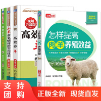 4册养羊技术书籍大全科学养殖入门技术羊病诊断与防治羊病治疗全书提高肉羊养殖效益高效养羊技术羊疾病治疗知识教程养殖技术大全