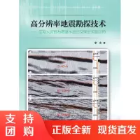 高分辨率地震勘探技术——辽河大庆胜利塔里木油田及煤田实验应用SY