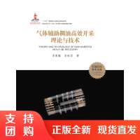 气体辅助稠油高效开采理论与技术SY