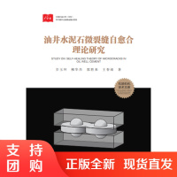 油井水泥石微裂缝自愈合理论研究SY