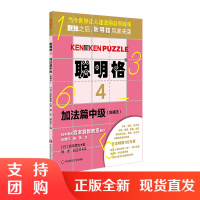 聪明格4 加法篇中级 含减法 6-7-8-9-10岁 益智游戏 肯肯数独 思维训练工具 小学数学速算趣味练习 华东师范大
