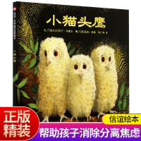 世界精选图画书 小猫头鹰(精) 精装绘本信谊 0-1-2-3-6岁幼儿童成长故事图书籍读物 宝宝亲子启蒙认知早教书 幼儿