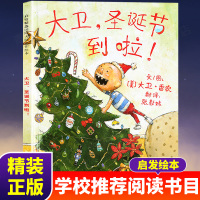 大卫圣诞节到了啦 专家导读正版大卫不可以绘本系列精装少幼儿童宝宝亲子情商早教启蒙图画书籍3-4-5-6岁启发