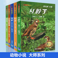 5册6-12岁少儿童文学小学生课外阅读沈石溪西顿动物大师小说系列全集全套图书籍 正版 小战马(名师导读版)/西顿动物小说