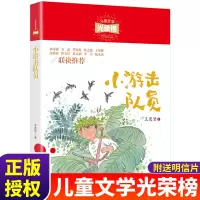 小游击队员新中国成立70周年献礼儿童文学光荣榜中小学生青少年儿童红色历史文学启蒙读物课外书9-12-15岁中小学生课外阅