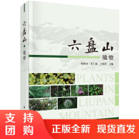 正版书籍 六盘山植物程积民西北地区自然保护区开展植物资源调查研究基础工作科学与自然生物蕨类植物裸子植物被子植物参考研究
