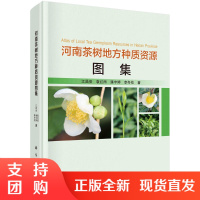 正版书籍 河南茶树地方种质资源图集江昌俊农业林业基础科学茶叶科技工作者茶叶生产农业技术人员农业院校茶学专业师生阅读参考