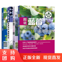 [全4册]蓝莓高产栽培整形与修剪图解图说蓝莓整形修剪与12月栽培管理蓝莓园生产与经营致富一本通设施蓝莓优质丰产栽培技术书